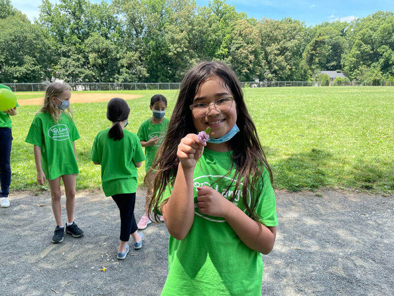 Spanish & Arabic Immersion Summer Camps 2024 2023 Lango Kids Northern